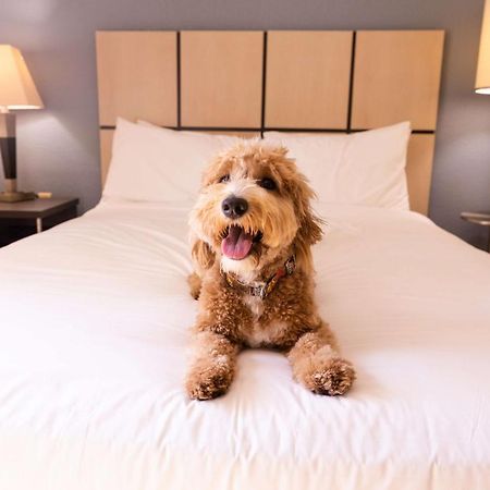 Sonesta Simply Suites Columbus Airport Гаханна Экстерьер фото