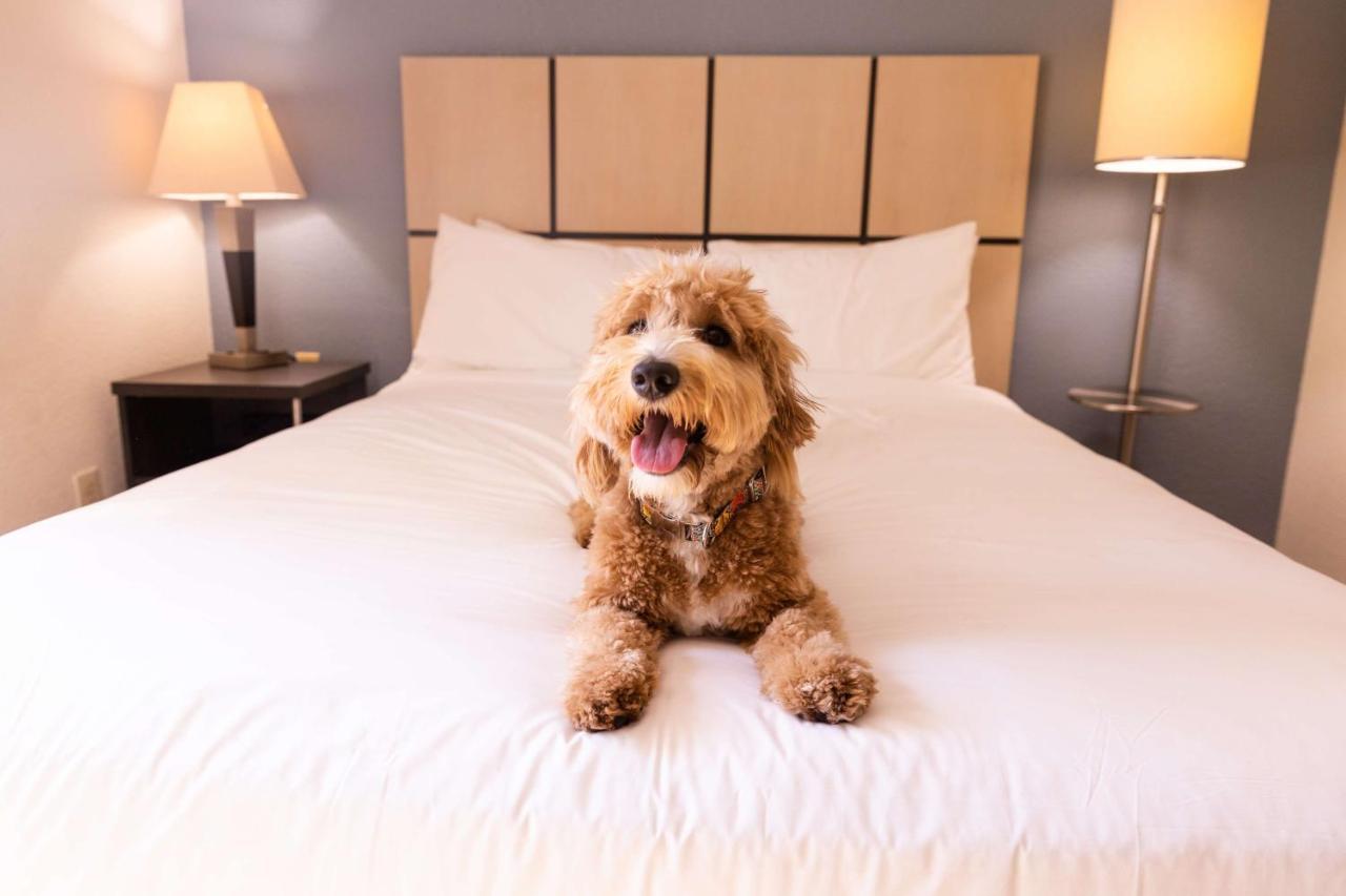 Sonesta Simply Suites Columbus Airport Гаханна Экстерьер фото